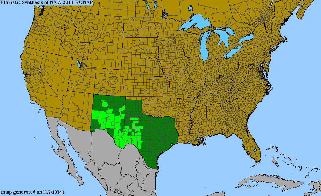 County distribution map of Houstonia acerosa var. acerosa - Needle-Leaf Bluet